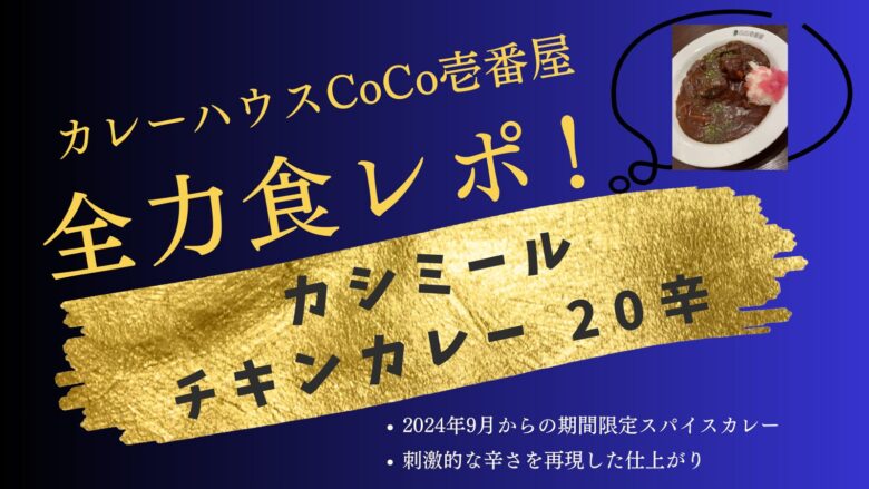 カレーハウスCoCo壱番屋 カシミールチキンカレー 20辛 スパイスカレー