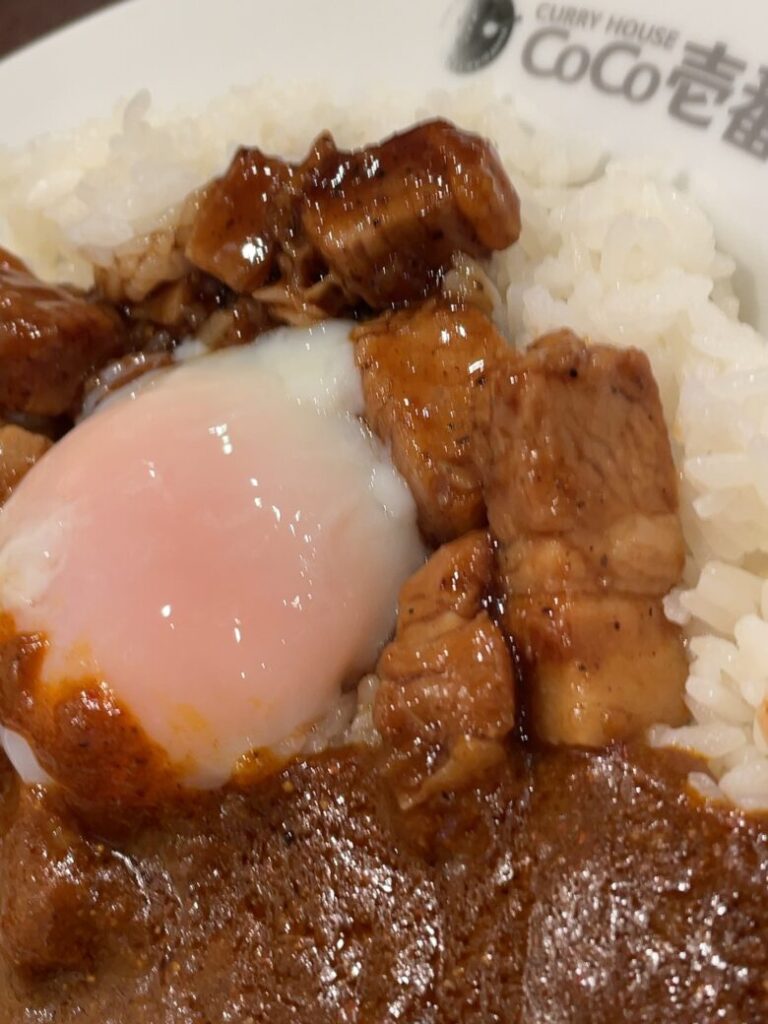 カレーハウスCoCo壱番屋 照り焼き肉月見カレー 20辛