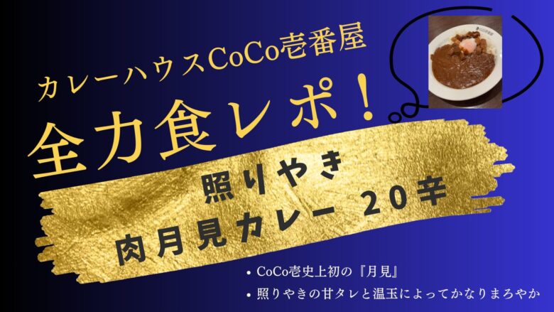 カレーハウスCoCo壱番屋 照り焼き肉月見カレー 20辛