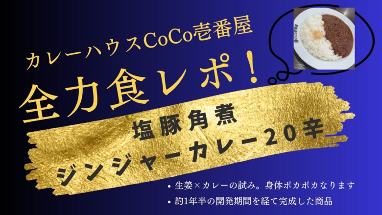 カレーハウスCoCo壱番屋 塩豚角煮ジンジャーカレー 20辛