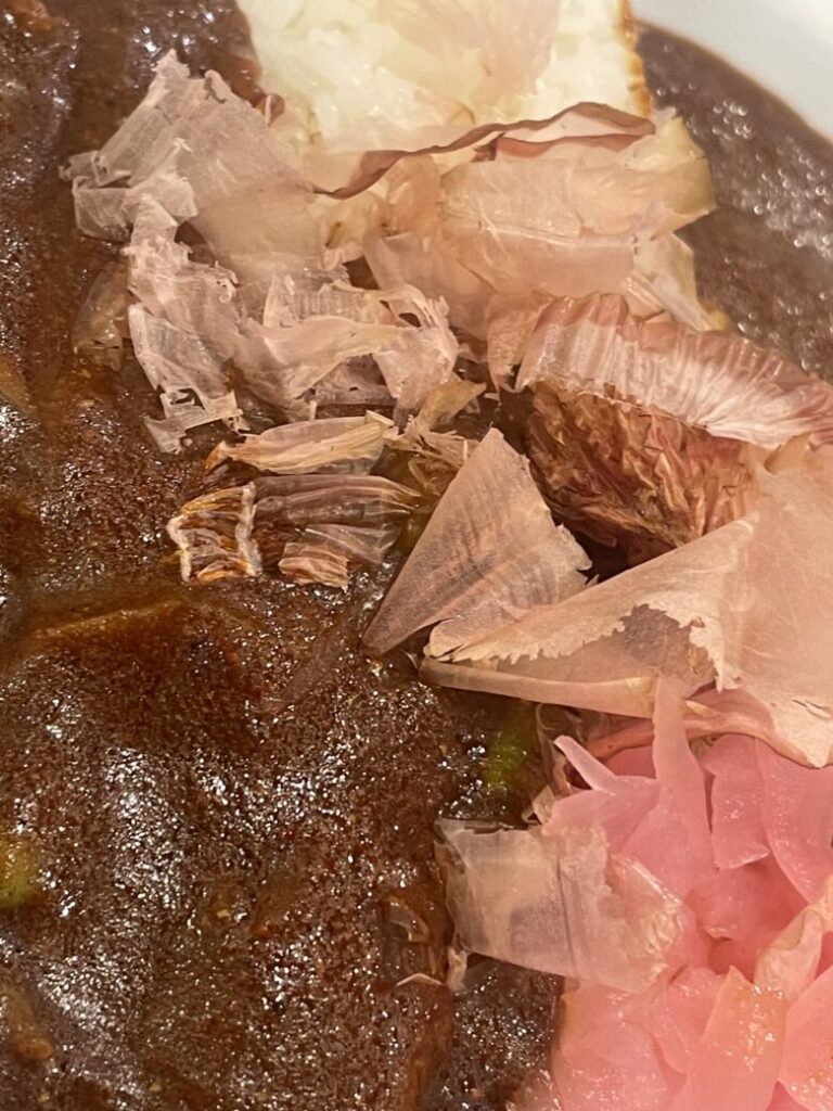 カレーハウスCoCo壱番屋 炭火焼きチキンと和の出汁カレー 20辛