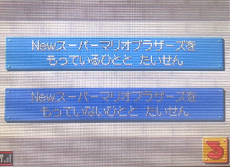New スーパーマリオブラザーズ ニンテンドーDS マリオVSルイージ