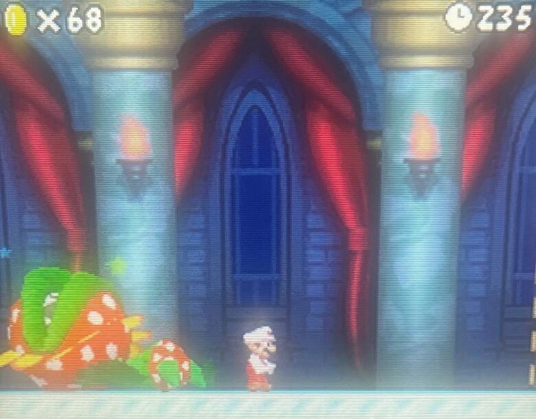 New スーパーマリオブラザーズ ニンテンドーDS ボスパックン
