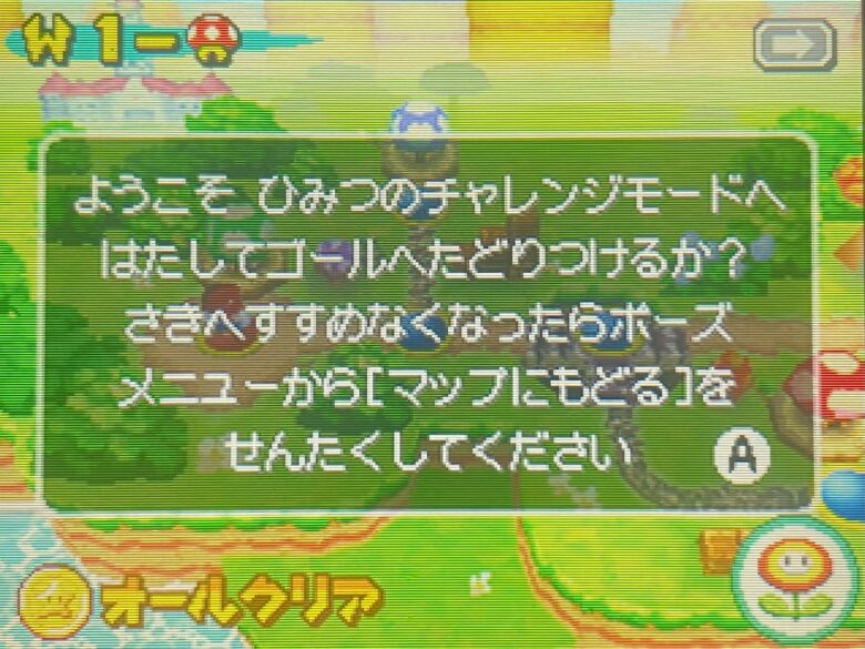 New スーパーマリオブラザーズ ニンテンドーDS ひみつのチャレンジモード